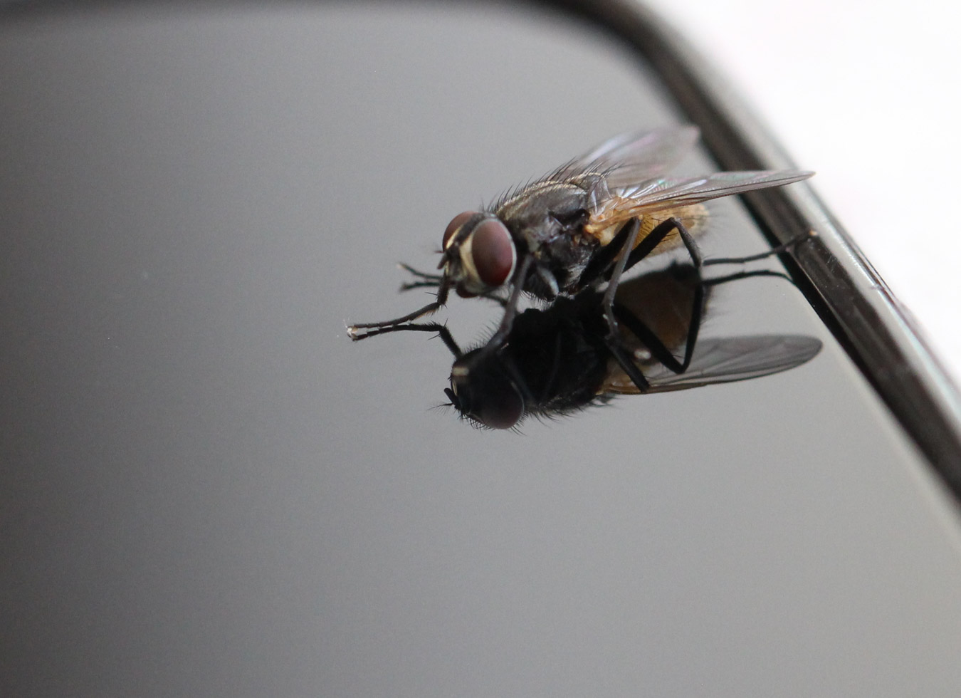 Lire la suite à propos de l’article Gérard Jenny