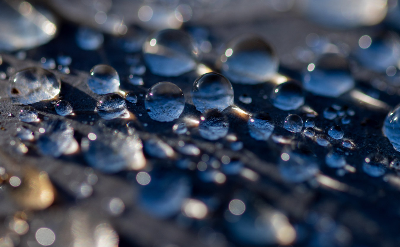 Lire la suite à propos de l’article Elisabeth Schwob