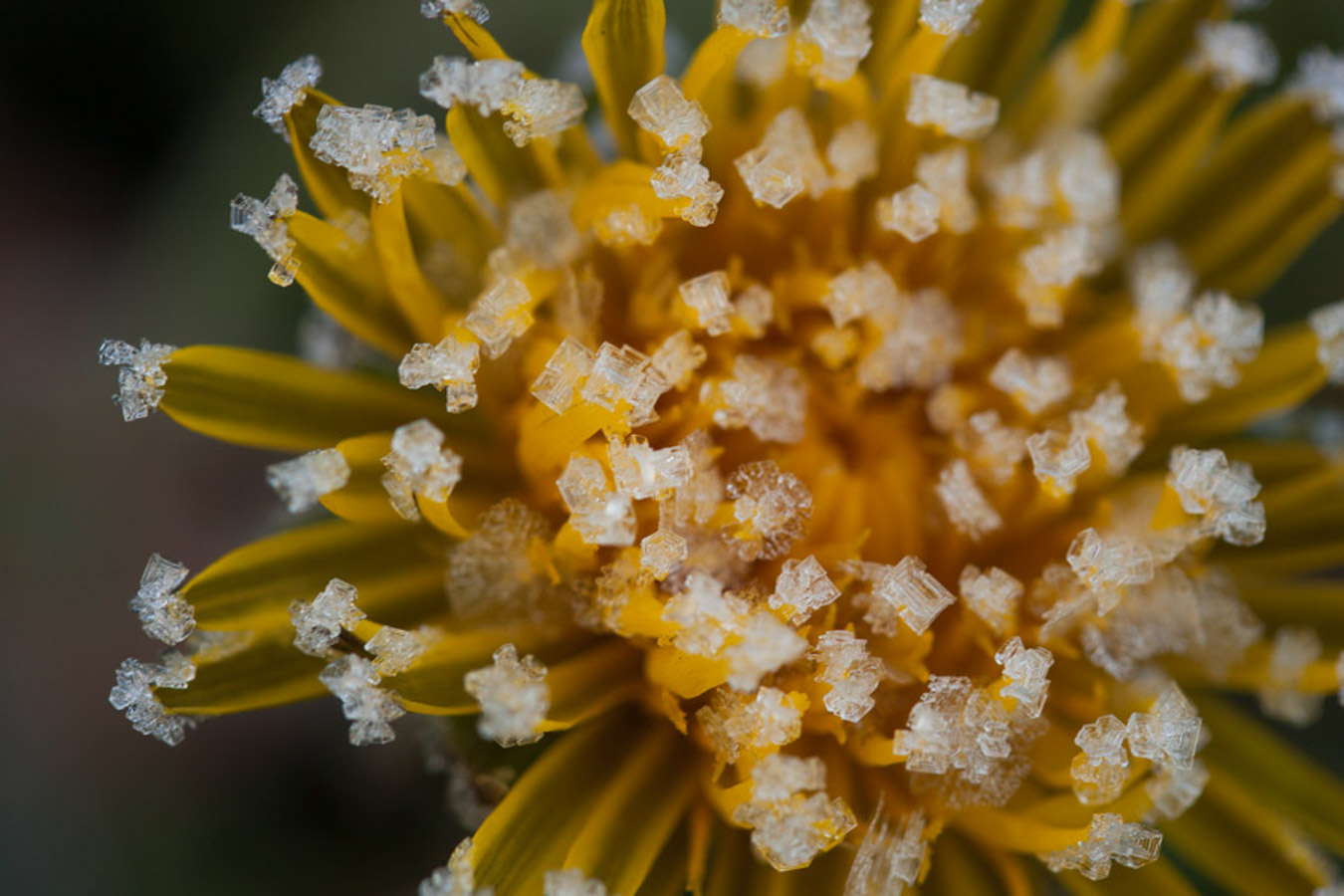 Lire la suite à propos de l’article Christine Eltzer