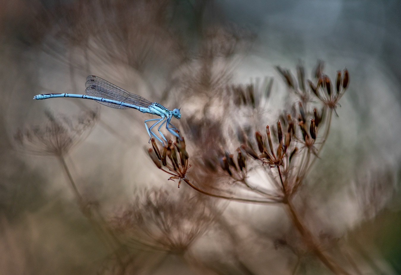 Photo du mois - Novembre 2025