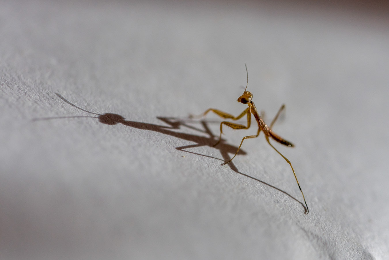 Photo du mois - Novembre 2025