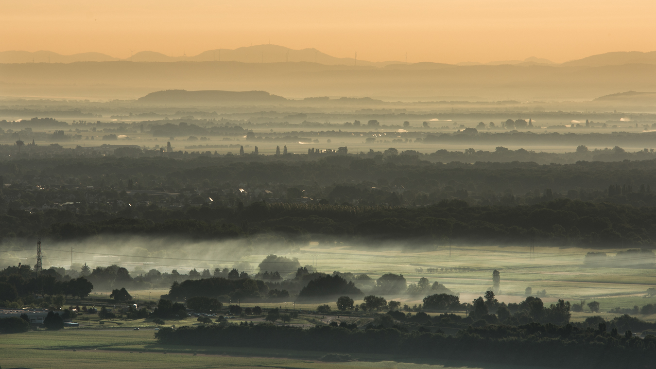 Lire la suite à propos de l’article Claude Noyon