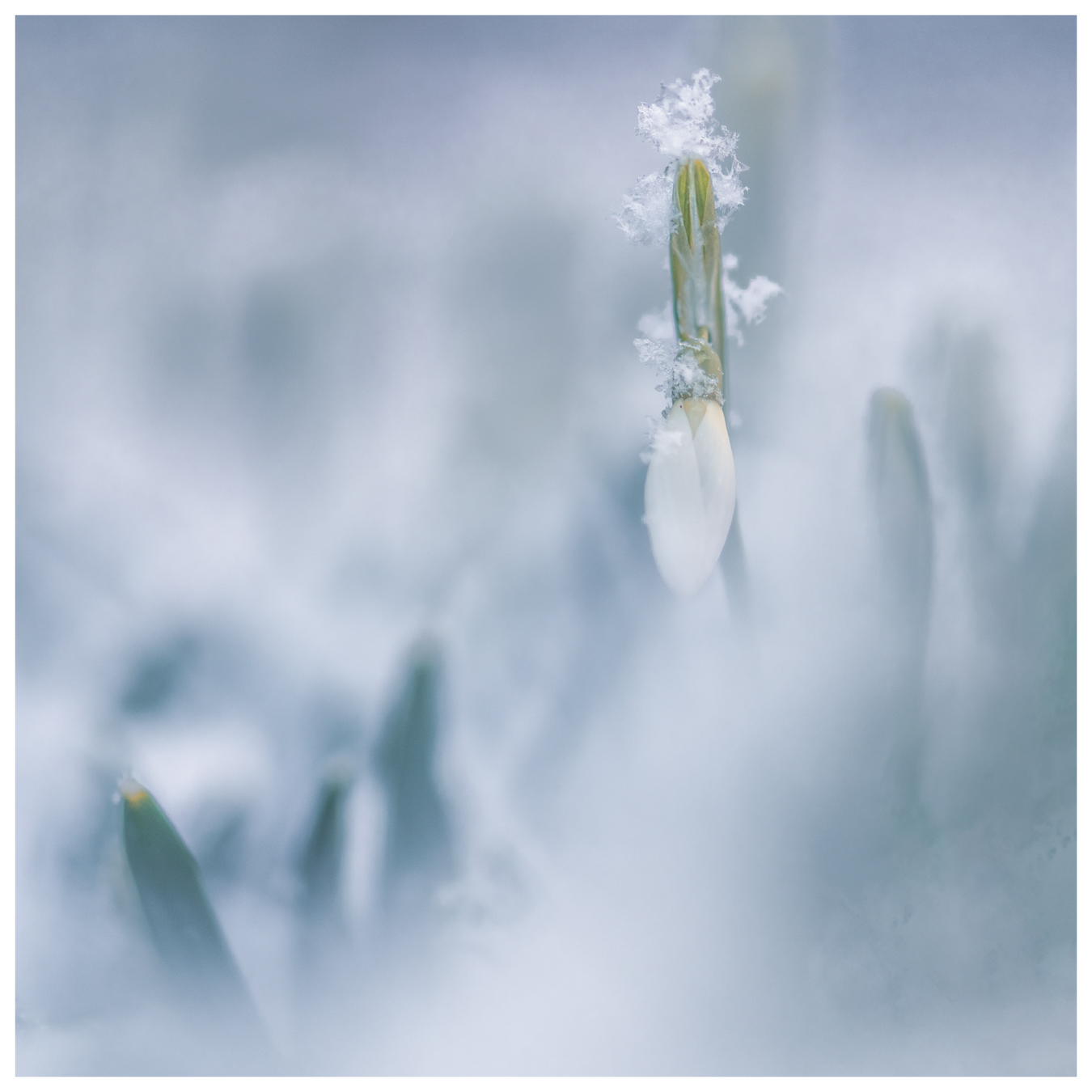 Lire la suite à propos de l’article Pascal Sester