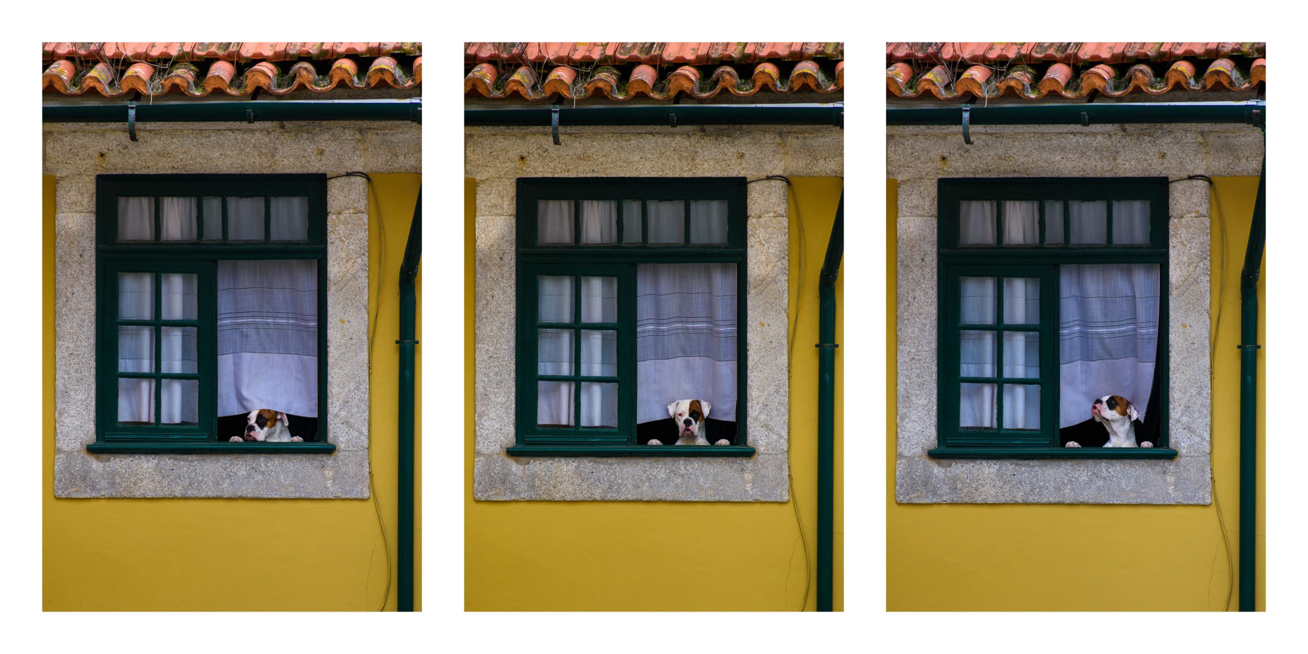 Lire la suite à propos de l’article Pascal GRANGER