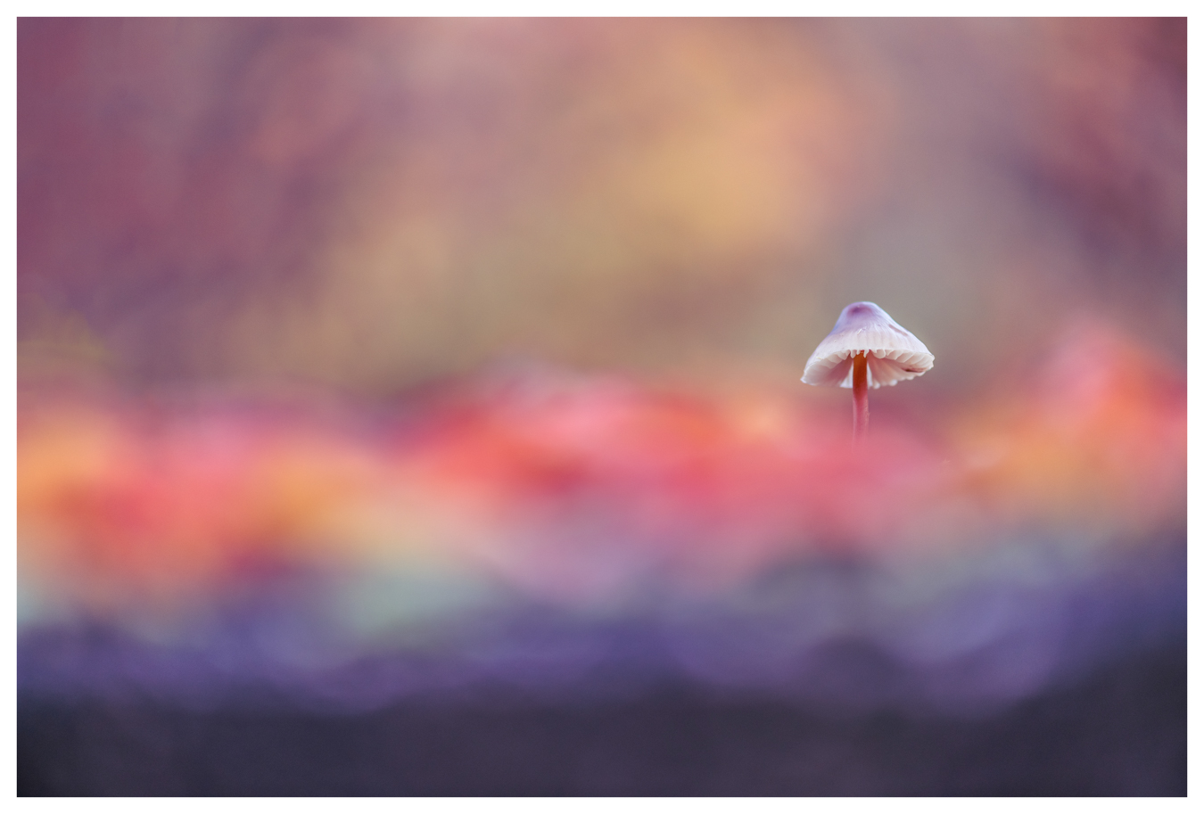 Photo du mois - Décembre 2025