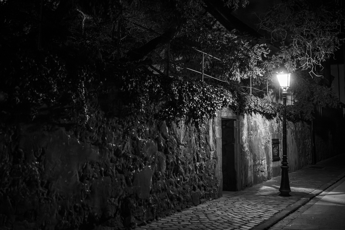 photo 1 Alain letribot