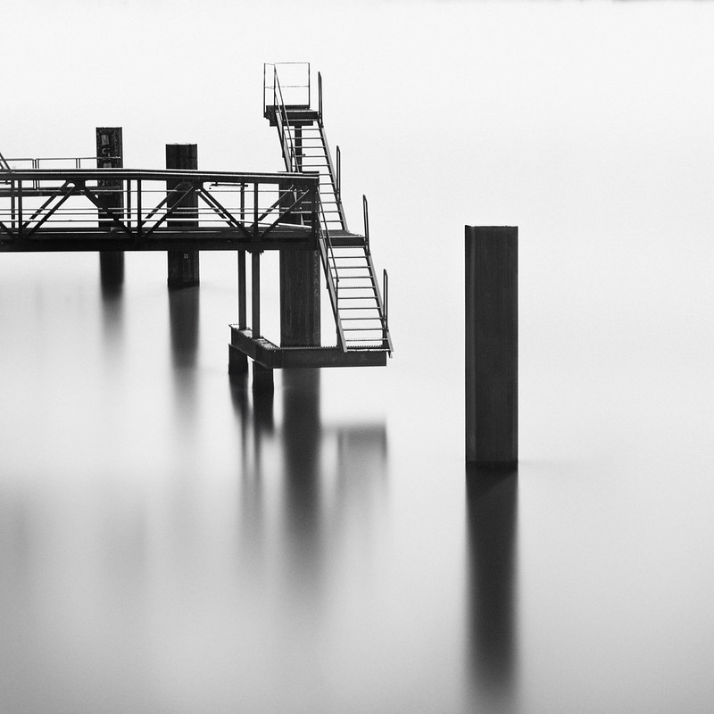 54463226906 462f9bc933 c