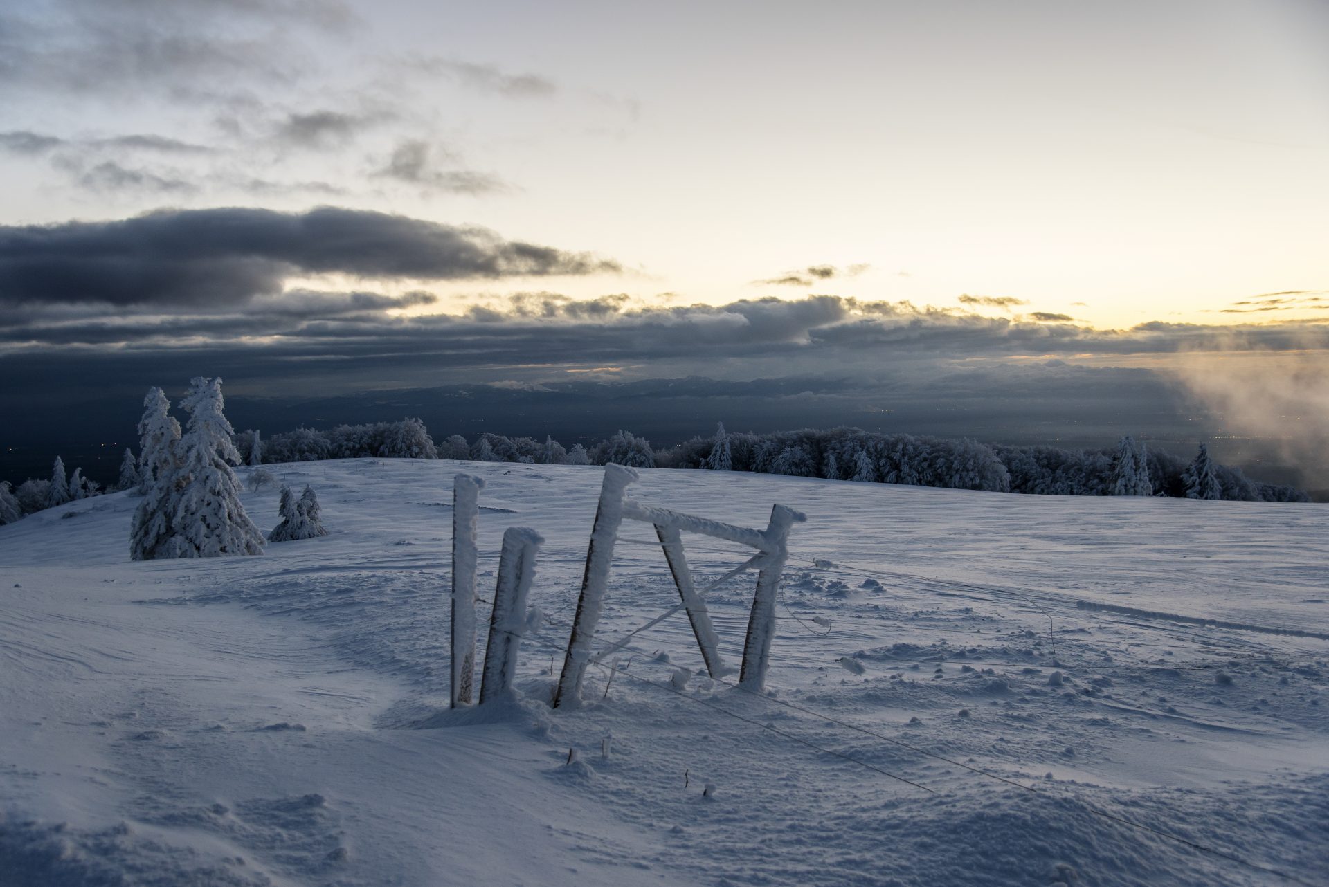 Jm lecourt DSC 9814a