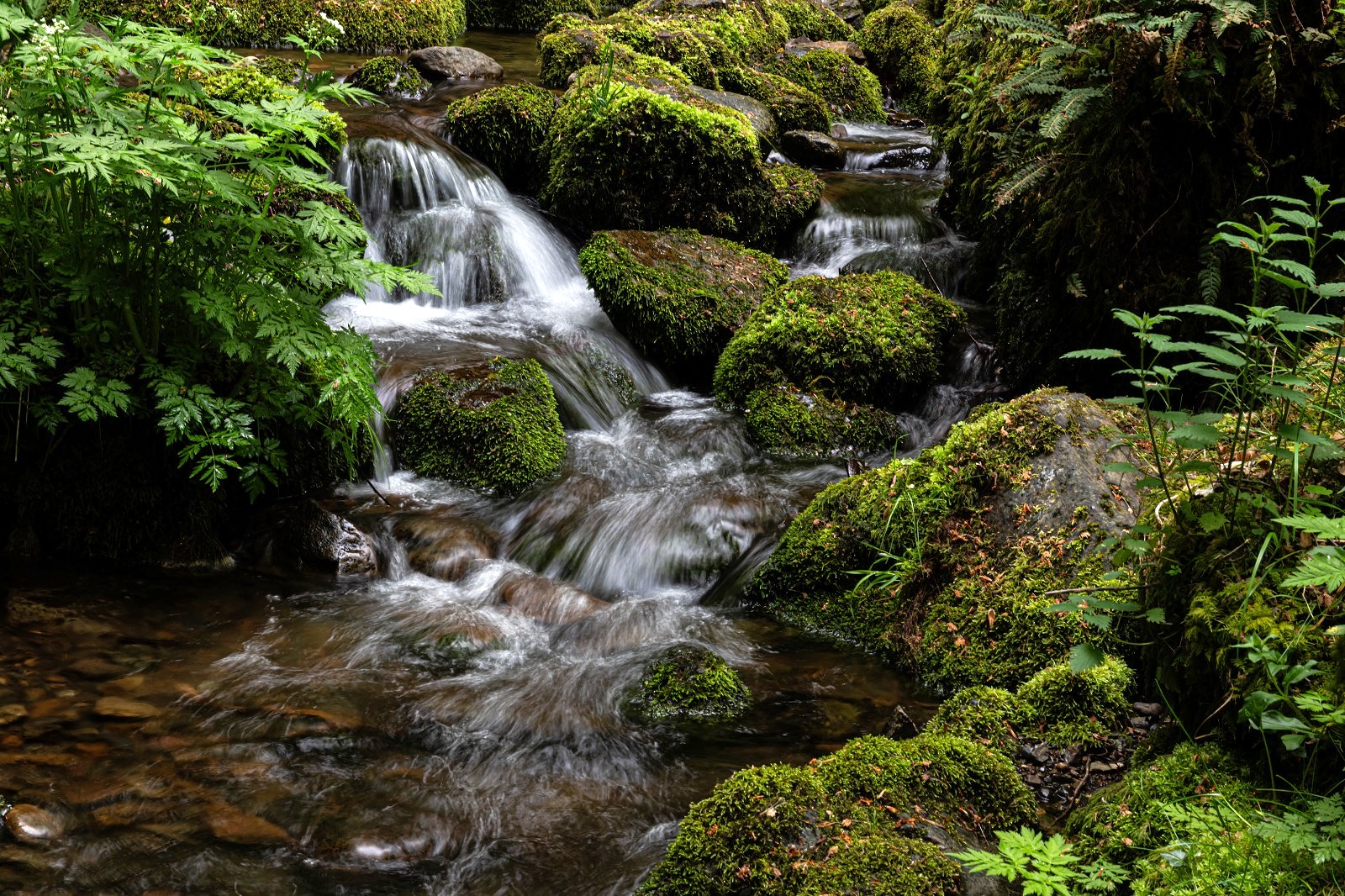 Lire la suite à propos de l’article Sortie photo aux cascades du Bubalafels : Au rythme des cascades et des poses longues