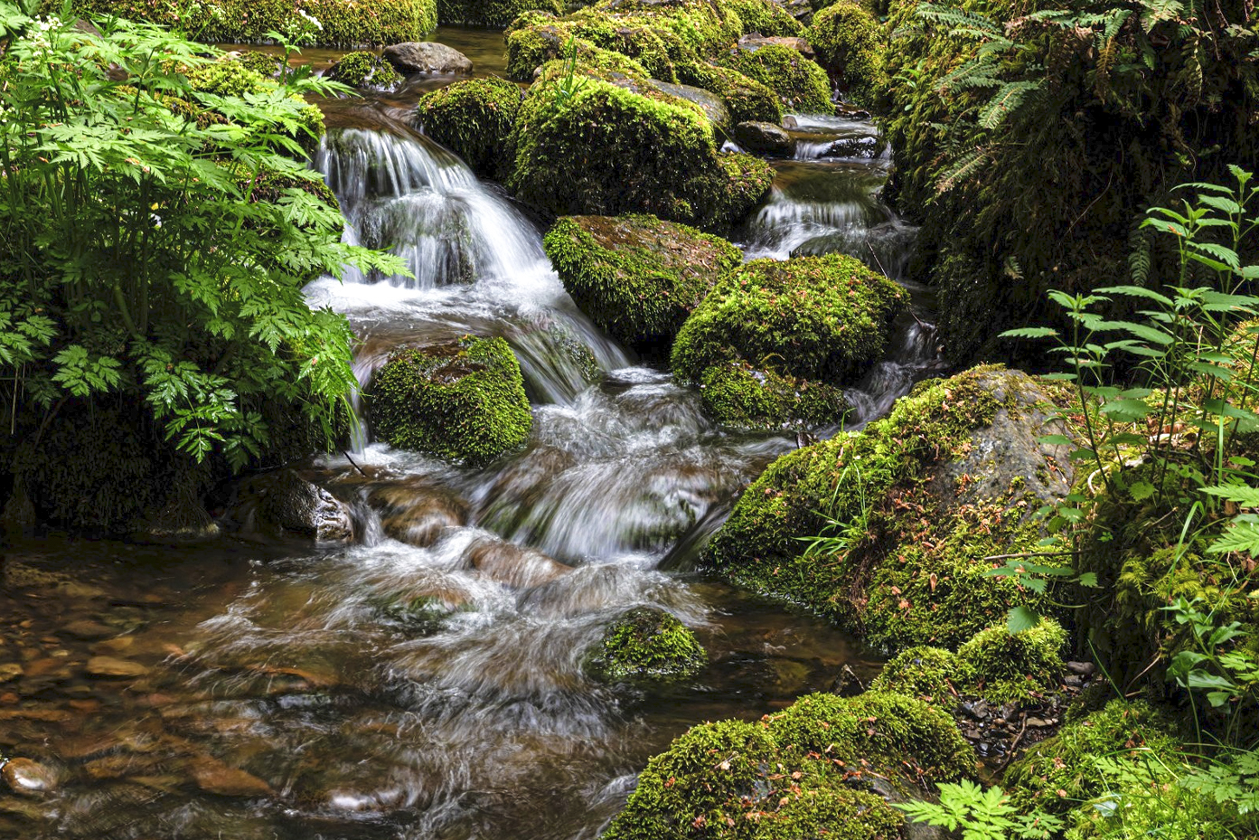 Lire la suite à propos de l’article Sortie photo aux cascades du Bubalafels : Au rythme des cascades et des poses longues